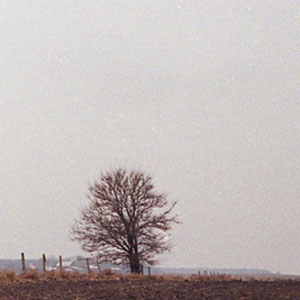 haltstill2